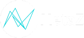 MetaZ Blog