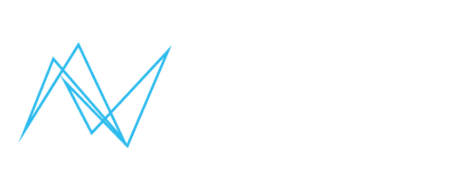 MetaZ Blog